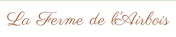 Logo Logo